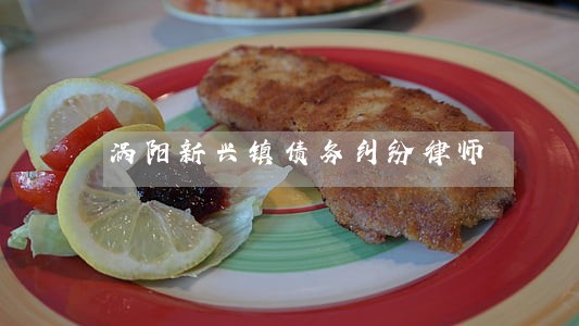 涡阳新兴镇债务纠纷律师 涡阳新兴镇债务纠纷律师