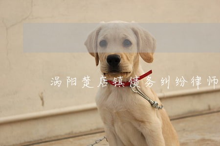 涡阳楚店镇债务纠纷律师咨询