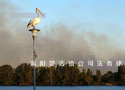 涡阳楚店镇公司法务律师价格