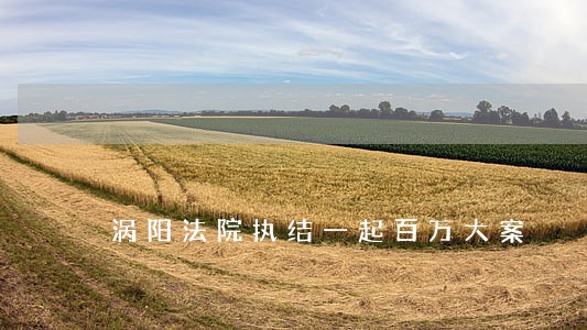 涡阳法院执结一起百万大案 涡阳法院执结一起百万大案