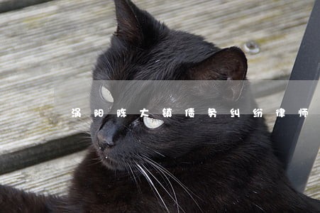 涡阳陈大镇债务纠纷律师价格 涡阳陈大镇债务纠纷律师价格