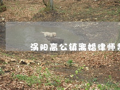 涡阳高公镇离婚律师费用 涡阳高公镇离婚律师费用