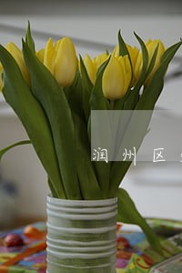 润州区知识产权在线律师 润州区知识产权在线律师