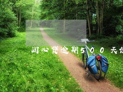 润心贷逾期500天说要强制执行 润心贷逾期500天说要强制执行