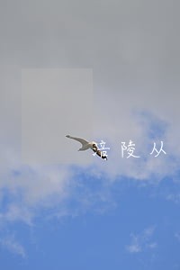涪陵从古到今司法店