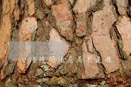 涪陵司法局局长是谁