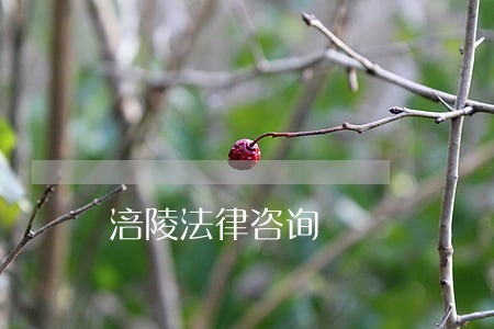 涪陵法律咨询 涪陵法律咨询