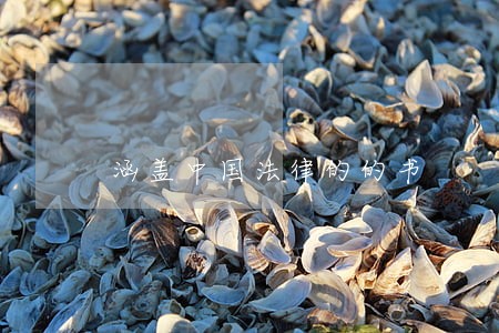 涵盖中国法律的的书