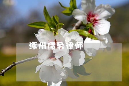 涿州债务律师 涿州债务律师