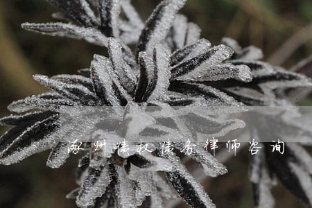 涿州债权债务律师咨询 涿州债权债务律师咨询