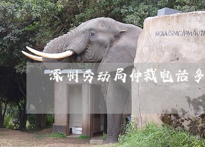 涿州劳动局仲裁电话多少 涿州劳动局仲裁电话多少