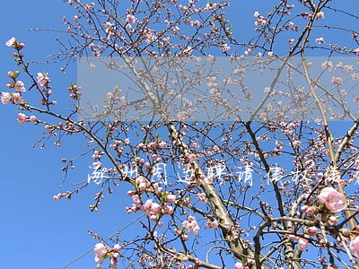 涿州周边聘请债权债务律师电话