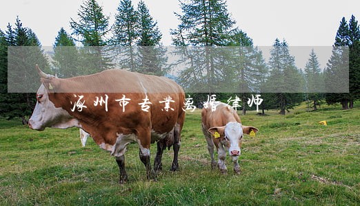 涿州市专业离婚律师 涿州市专业离婚律师