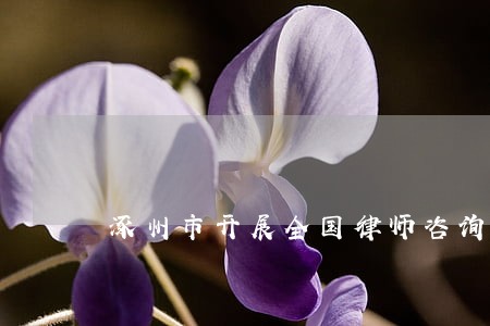涿州市开展全国律师咨询日活动