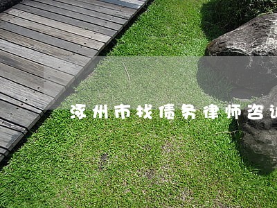 涿州市找债务律师咨询 涿州市找债务律师咨询