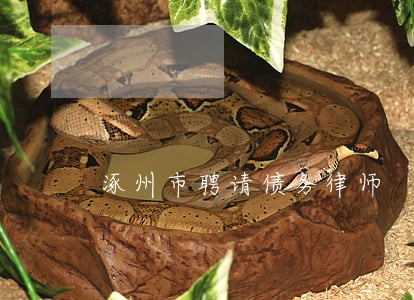 涿州市聘请债务律师