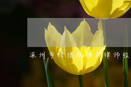涿州市请债权债务律师收费标准 涿州市请债权债务律师收费标准