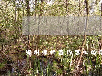 涿州律师咨询怎么收费 涿州律师咨询怎么收费