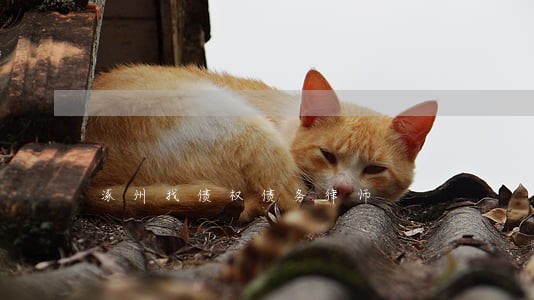 涿州找债权债务律师 涿州找债权债务律师