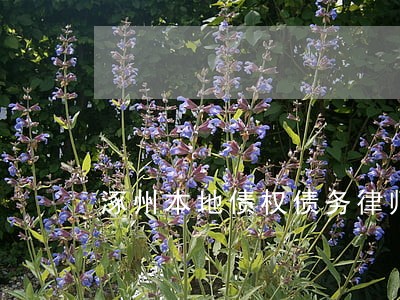 涿州本地债权债务律师事务所 涿州本地债权债务律师事务所