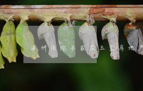 涿州法院石家庄玉玺房地产 涿州法院石家庄玉玺房地产