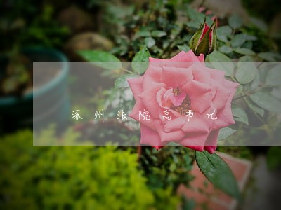 涿州法院高书记 涿州法院高书记