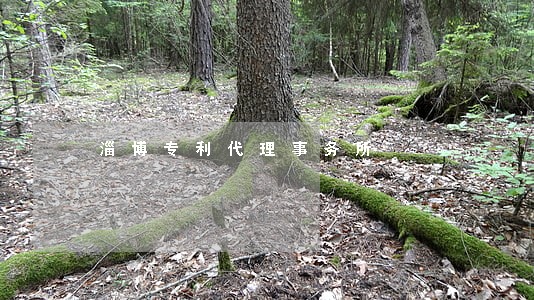 淄博专利代理事务所 淄博专利代理事务所