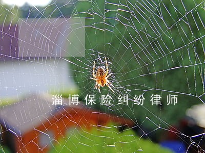 淄博保险纠纷律师 淄博保险纠纷律师