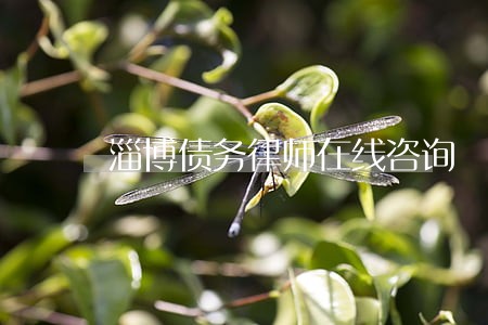 淄博债务律师在线咨询 淄博债务律师在线咨询