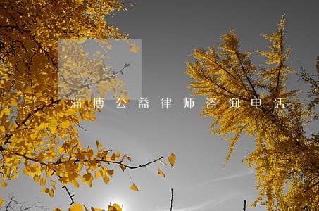 淄博公益律师咨询电话 淄博公益律师咨询电话