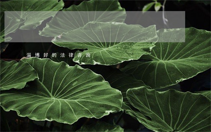 淄博好的法律咨询 淄博好的法律咨询