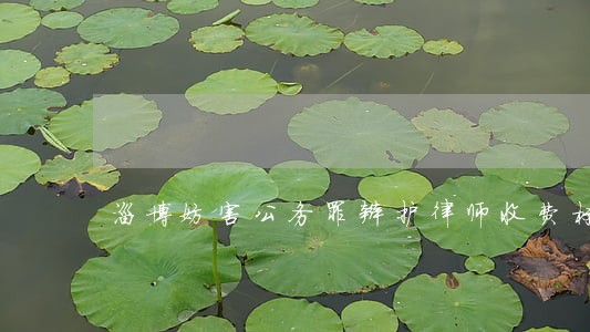 淄博妨害公务罪辩护律师收费标准 淄博妨害公务罪辩护律师收费标准