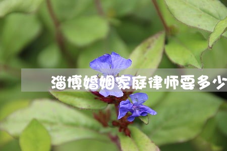 淄博婚姻家庭律师要多少钱 淄博婚姻家庭律师要多少钱