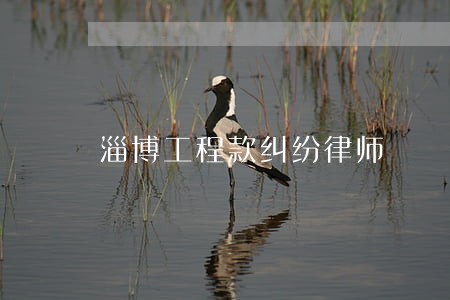 淄博工程款纠纷律师 淄博工程款纠纷律师