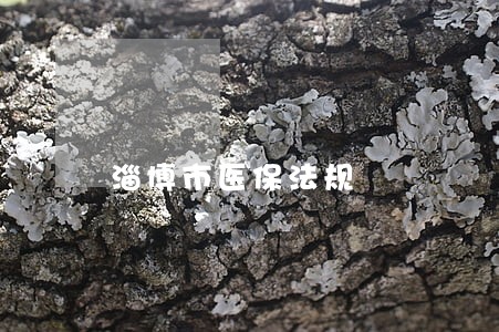 淄博市医保法规 淄博市医保法规