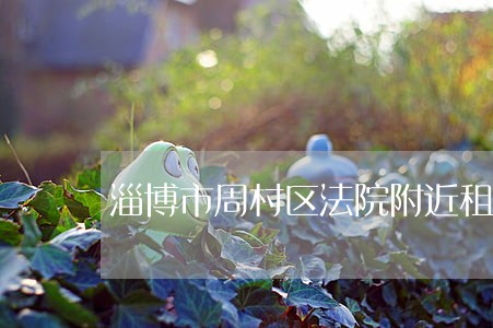 淄博市周村区法院附近租房 淄博市周村区法院附近租房