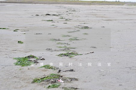 淄博市周村法院法官