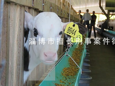 淄博市擅长刑事案件律师咨询 淄博市擅长刑事案件律师咨询