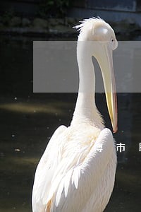 淄博市民事专业律师咨询免费