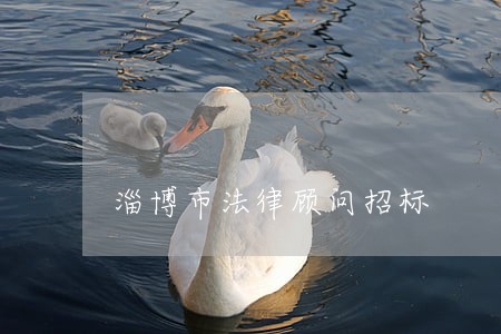 淄博市法律顾问招标 淄博市法律顾问招标