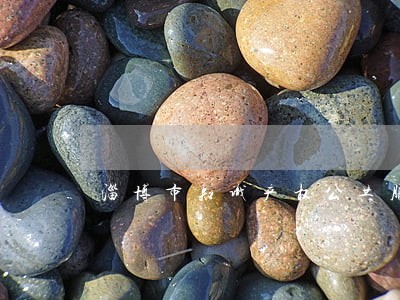 淄博市知识产权公共服务平台 淄博市知识产权公共服务平台