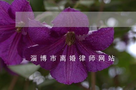 淄博市离婚律师网站 淄博市离婚律师网站