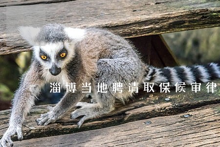 淄博当地聘请取保候审律师介绍 淄博当地聘请取保候审律师介绍