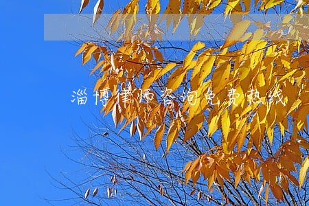 淄博律师咨询免费热线 淄博律师咨询免费热线