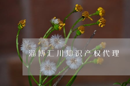淄博汇川知识产权代理 淄博汇川知识产权代理