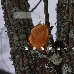 淄博法律顾问价格 淄博法律顾问价格