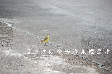 淄博法院今天许永成是咋判的