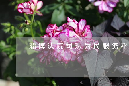 淄博法院司法为民服务平台