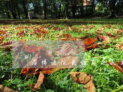 淄博法院失信高延民名单 淄博法院失信高延民名单