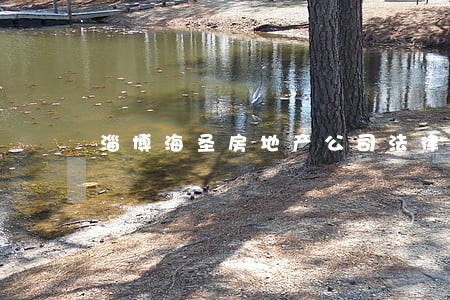 淄博海圣房地产公司法律顾问 淄博海圣房地产公司法律顾问